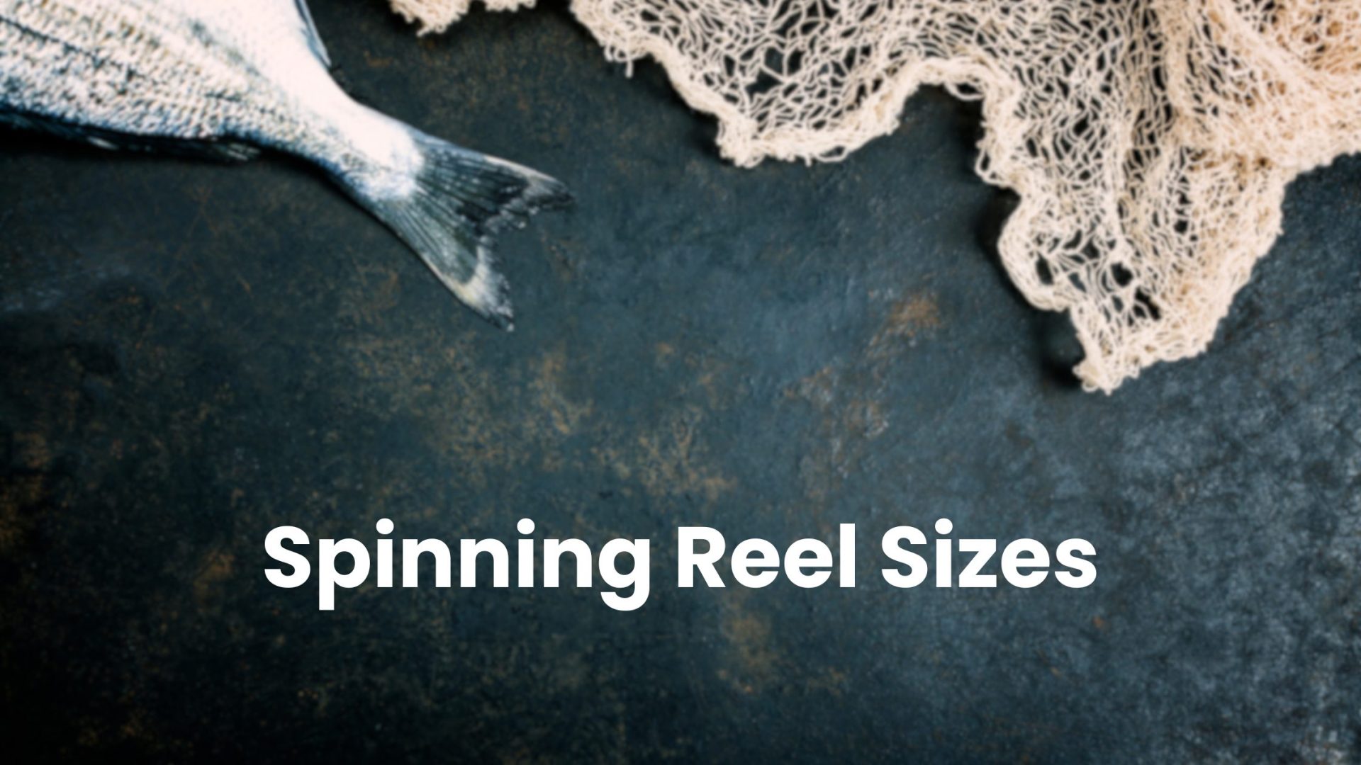 Spinning Reel Sizes