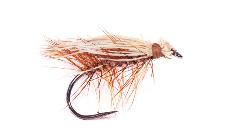 Best Trout Flies: When Fly Fishing for Trout